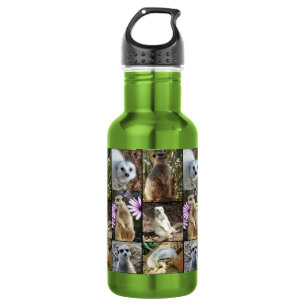 Meerkat FotoCollage, Trinkflasche