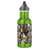 Meerkat FotoCollage, Trinkflasche (Links)