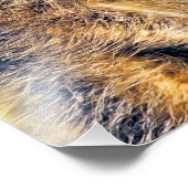 MEERKAT FOTODRUCK (Ecke)