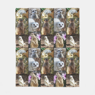 Meerkat Fotomaterial, mittleres Fleece Blanket.