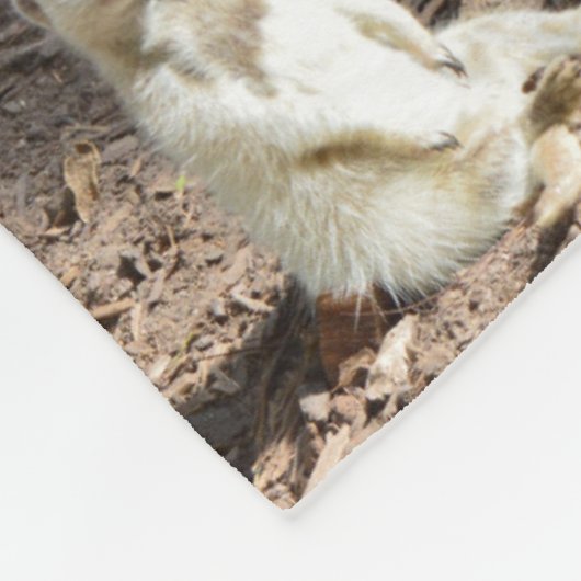 Meerkat Fotomaterial, mittleres Fleece Blanket. (Ecke)