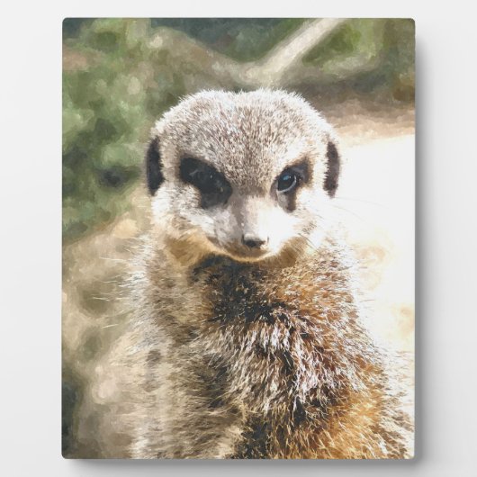 MEERKAT FOTOPLATTE (Vorderseite)