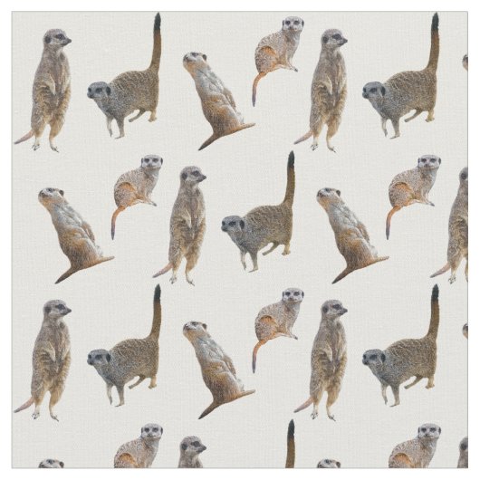 Meerkat Frenzy Fabric (Farbe auswählen) Stoff (Nahaufnahme)