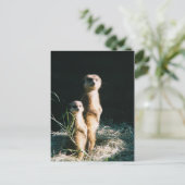 Meerkat Friends Post Card Postkarte (Stehend Vorderseite)