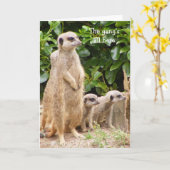 Meerkat Gang Geburtstagskarte Karte (Gelbe Blume)