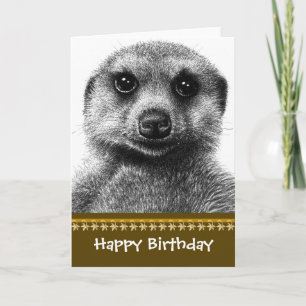 Meerkat Geburtstags-Karte Karte