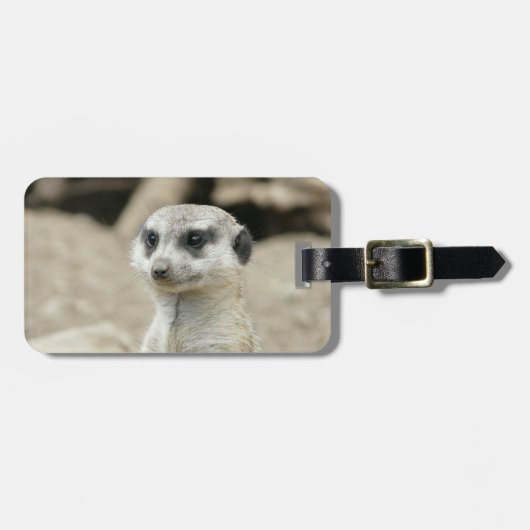 Meerkat Gepäckanhänger (Vorderseite horizontal)