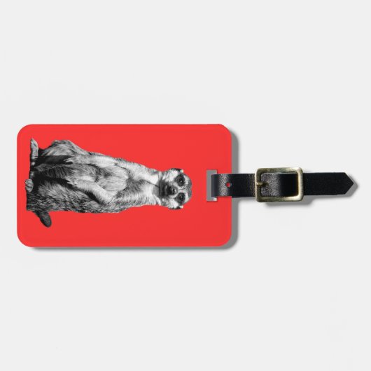 Meerkat Gepäckanhänger (Vorderseite horizontal)