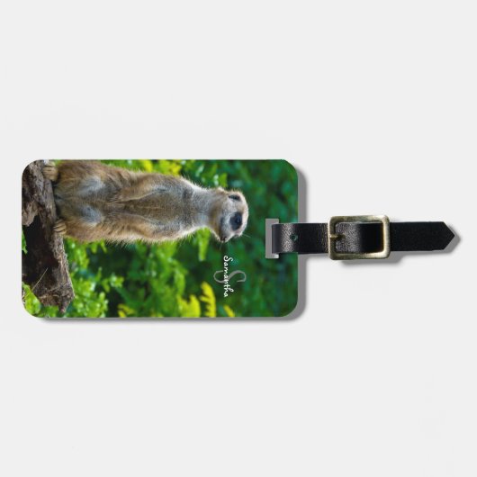 Meerkat-Gepäckmarke Gepäckanhänger (Vorderseite horizontal)