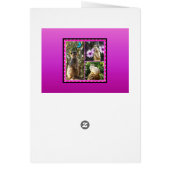 Meerkat Girls Geburtstag Thema: (Hinten)