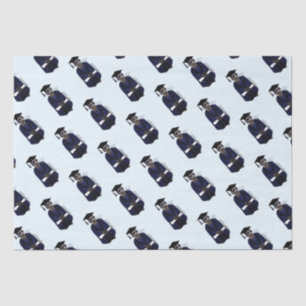 Meerkat Graduate Gown Abschluss Seidenpapier