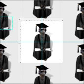 Meerkat Graduate mit Diplom Stoff (Kachel)