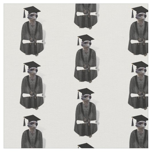 Meerkat Graduate mit Diplom Stoff (Nahaufnahme)