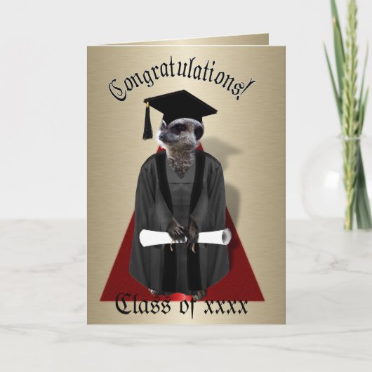 Meerkat Graduate W/Gray Gown & Black Sash Karte (Vorderseite)