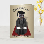 Meerkat Graduate W/Gray Gown & Black Sash Karte (Gelbe Blume)