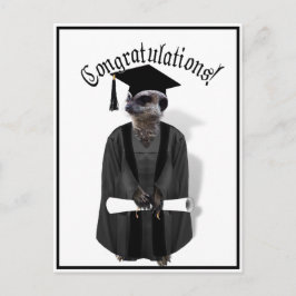 Meerkat Graduate W/Gray Gown & Black Sash Postkarte