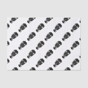 Meerkat Graduate W/Gray Gown & Black Sash Seidenpapier