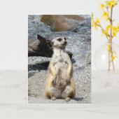 Meerkat Greeting Card Karte (Gelbe Blume)