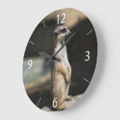 Meerkat Große Wanduhr (Winkel)