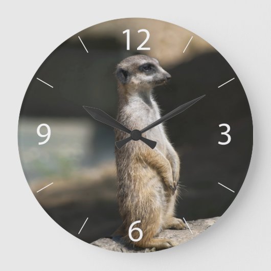 Meerkat Große Wanduhr (Vorderseite)