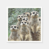 Meerkat-Gruppe 2001 Serviette (Vorderseite)