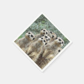 Meerkat-Gruppe 2001 Serviette (Ecke)