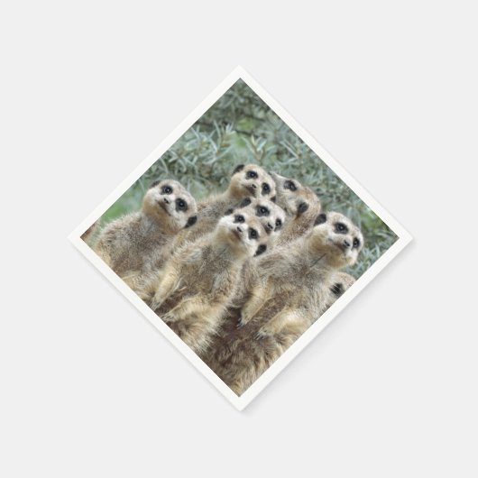 Meerkat-Gruppe 2001 Serviette (Ecke)