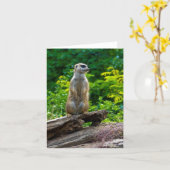 Meerkat Grußkarte Karte (Gelbe Blume)