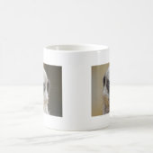Meerkat herauf nahes kaffeetasse (Mittel)