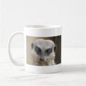 Meerkat herauf nahes kaffeetasse (Links)