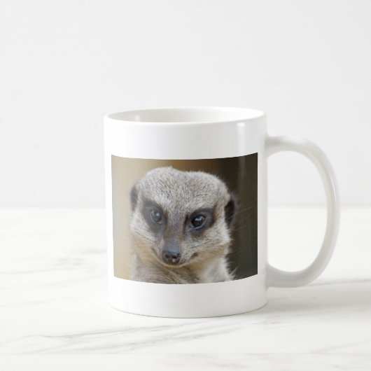 Meerkat herauf nahes kaffeetasse (Rechts)