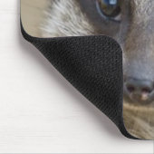 Meerkat herauf nahes mousepad (Ecke)