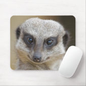 Meerkat herauf nahes mousepad (Mit Mouse)