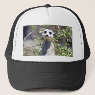 Meerkat Hut Truckerkappe