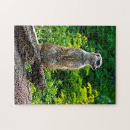 Meerkat im Jigsaw-Puzzle Puzzle (Horizontal)