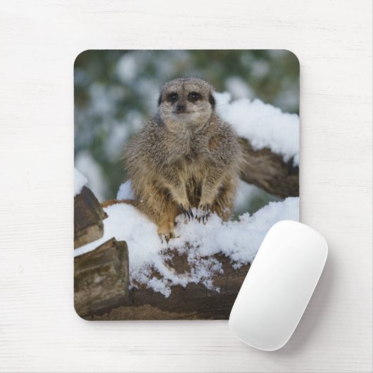 Meerkat im Schnee Mousepad (Mit Mouse)