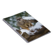 Meerkat im Schnee Notizblock (Rechte Seite)