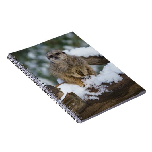 Meerkat im Schnee Notizblock (Rechte Seite)