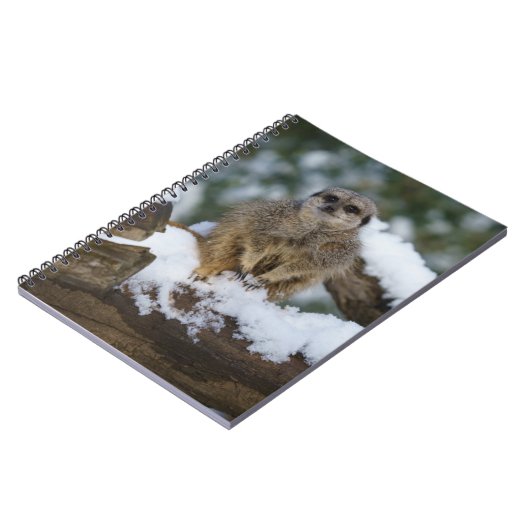 Meerkat im Schnee Notizblock (Linke Seite)