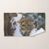 Meerkat in der schneekronylischen Printwerbung Handtuch (Handtuch)