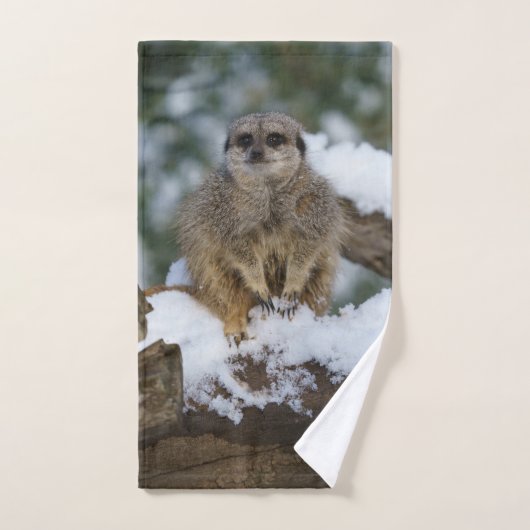 Meerkat in der schneekronylischen Printwerbung Handtuch (Handtuch)