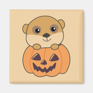 Meerkat In Pumpkin Niedlicher Tiere Happy Hallowee Magnet