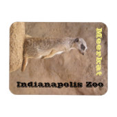 Meerkat Indianapolis Zoo Magnet (Horizontal)