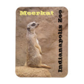 Meerkat Indianapolis Zoo Magnet (Vertikal)