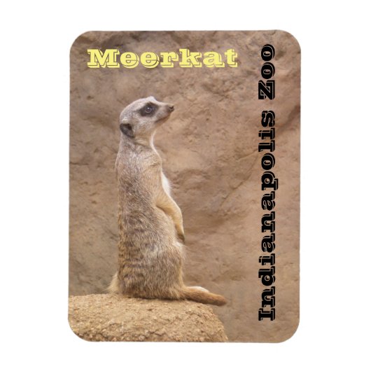 Meerkat Indianapolis Zoo Magnet (Vertikal)