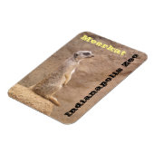 Meerkat Indianapolis Zoo Magnet (Linke Seite)