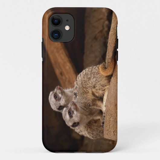 Meerkat iPhone 5 Case-Mate iPhone Hülle (Rückseite)