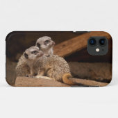 Meerkat iPhone 5 Case-Mate iPhone Hülle (Rückseite (Horizontal))