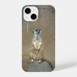 Meerkat iPhone Case 14 Hülle