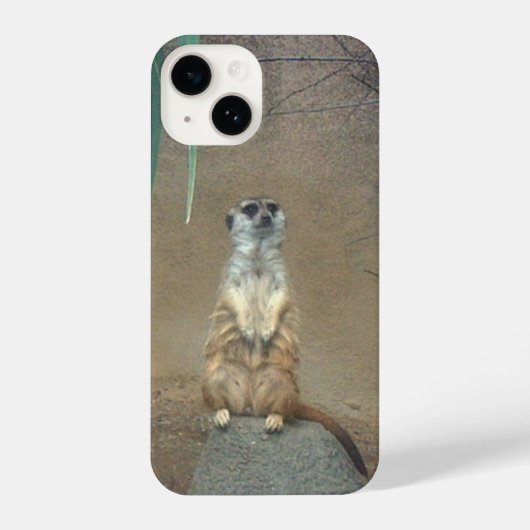 Meerkat iPhone Case Hülle (Rückseite)